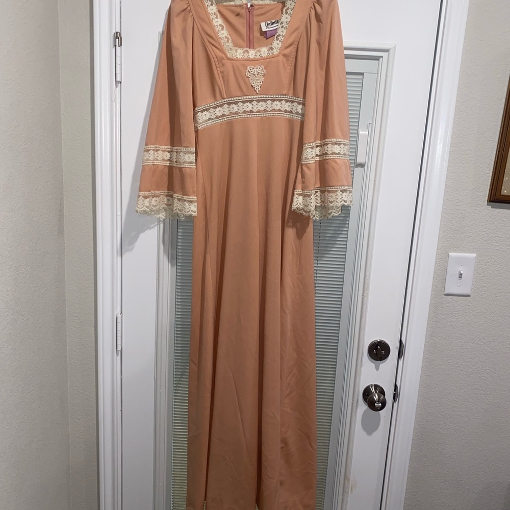 Vintage 1970 cottage core prairie dress